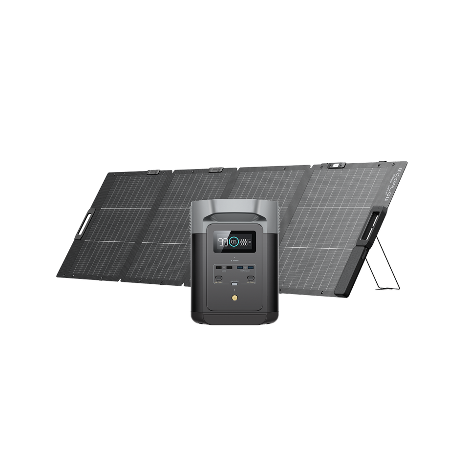 EcoFlow DELTA 2 Solargenerator (PV220W)