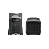 EcoFlow WAVE 2 + DELTA Pro