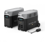 Tragbare RV- und EV-Stromversorgung mit EcoFlow DELTA Pro